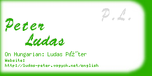 peter ludas business card